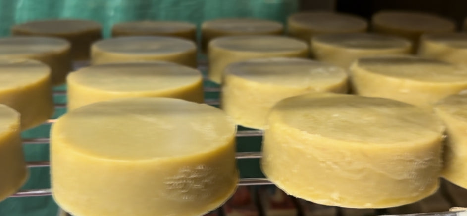 Solid Shampoo Bars