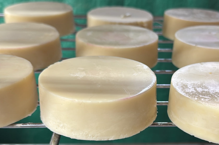 Solid Shampoo Bars