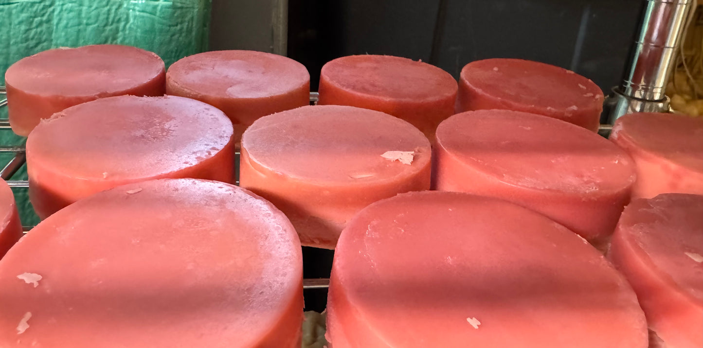 Solid Shampoo Bars